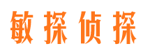 洪山市侦探调查公司